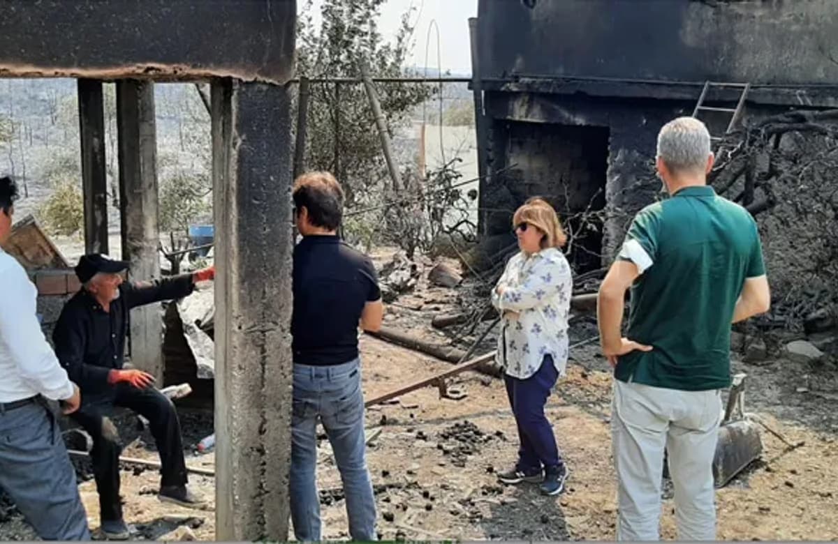TARSİM’den yangın hasarlarına ilişkin açıklama yapıldı