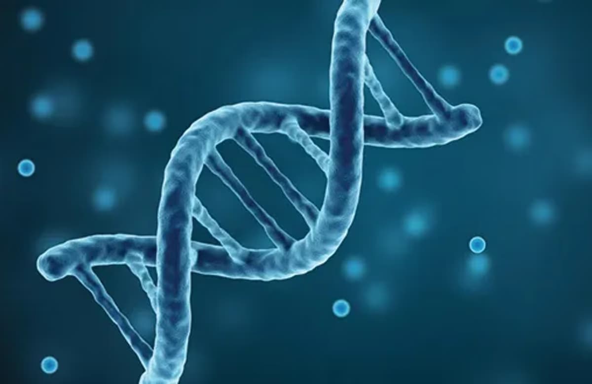 Sigorta primini gen haritası belirler mi? Sigorta sektöründe gen testi tartışması