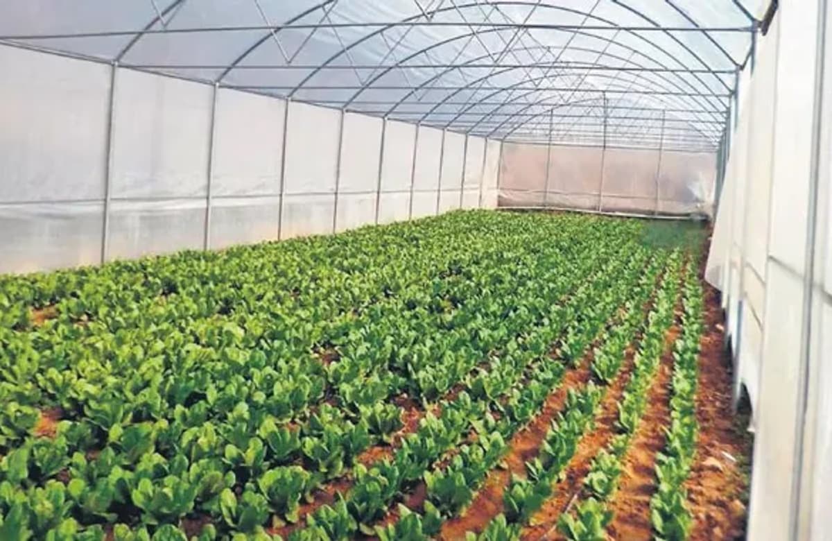 TARSİM, yeni dönemde enkaz kaldırma masrafını teminat altına aldı
