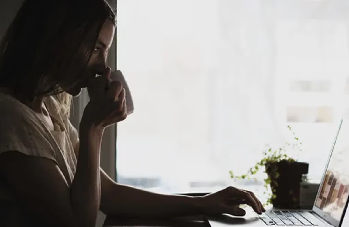 Online olarak gezebileceğiniz ücretsiz eğlence parkları ve hayvanat bahçeleri