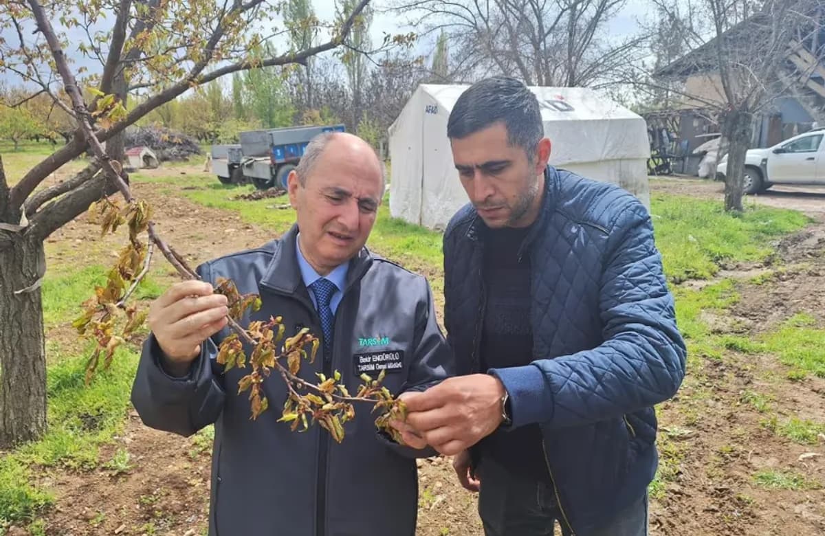 TARSİM Malatya’da üreticinin yanında