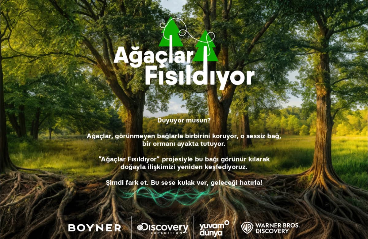 Ormanın iletişim ağı koparsa, ekosistem zayıflar...