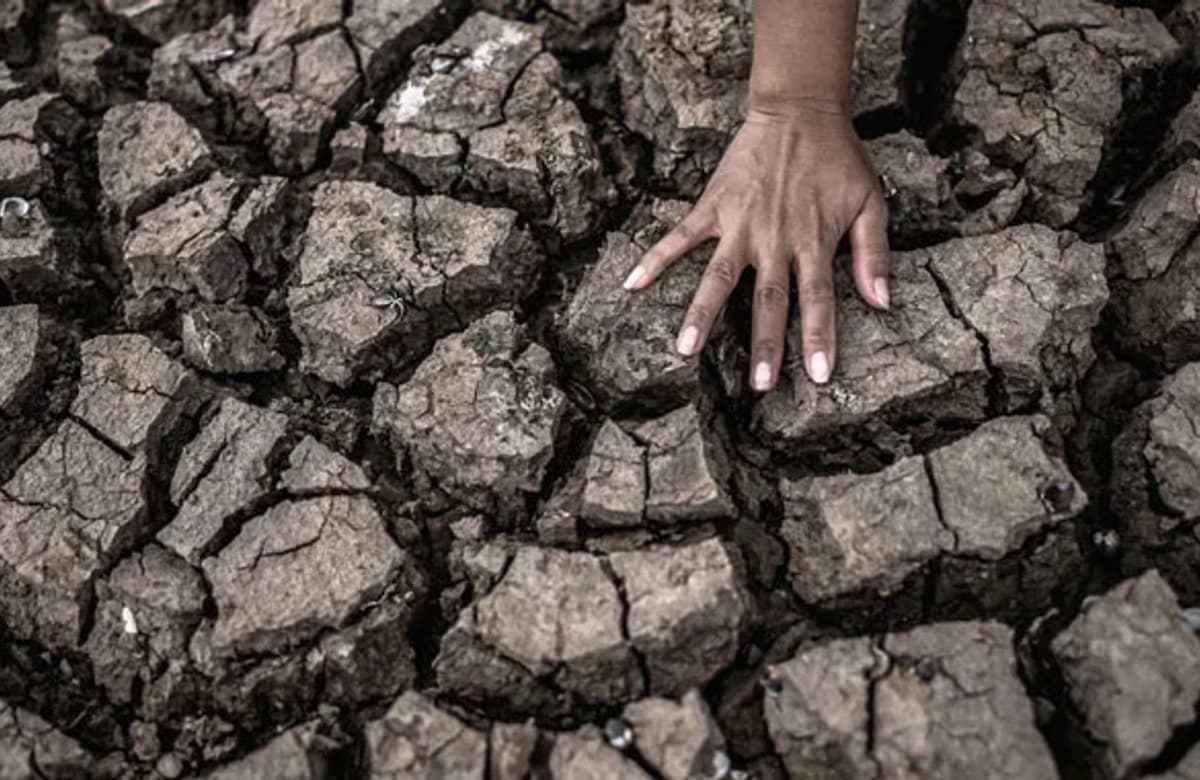 Anadolu Sigorta’dan Çevresel ve Sosyal Risk Yönetim Sistemi Projesi