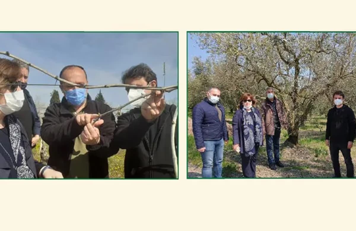TARSİM heyeti Bursa ve Manisa’da incelemelerde bulundu