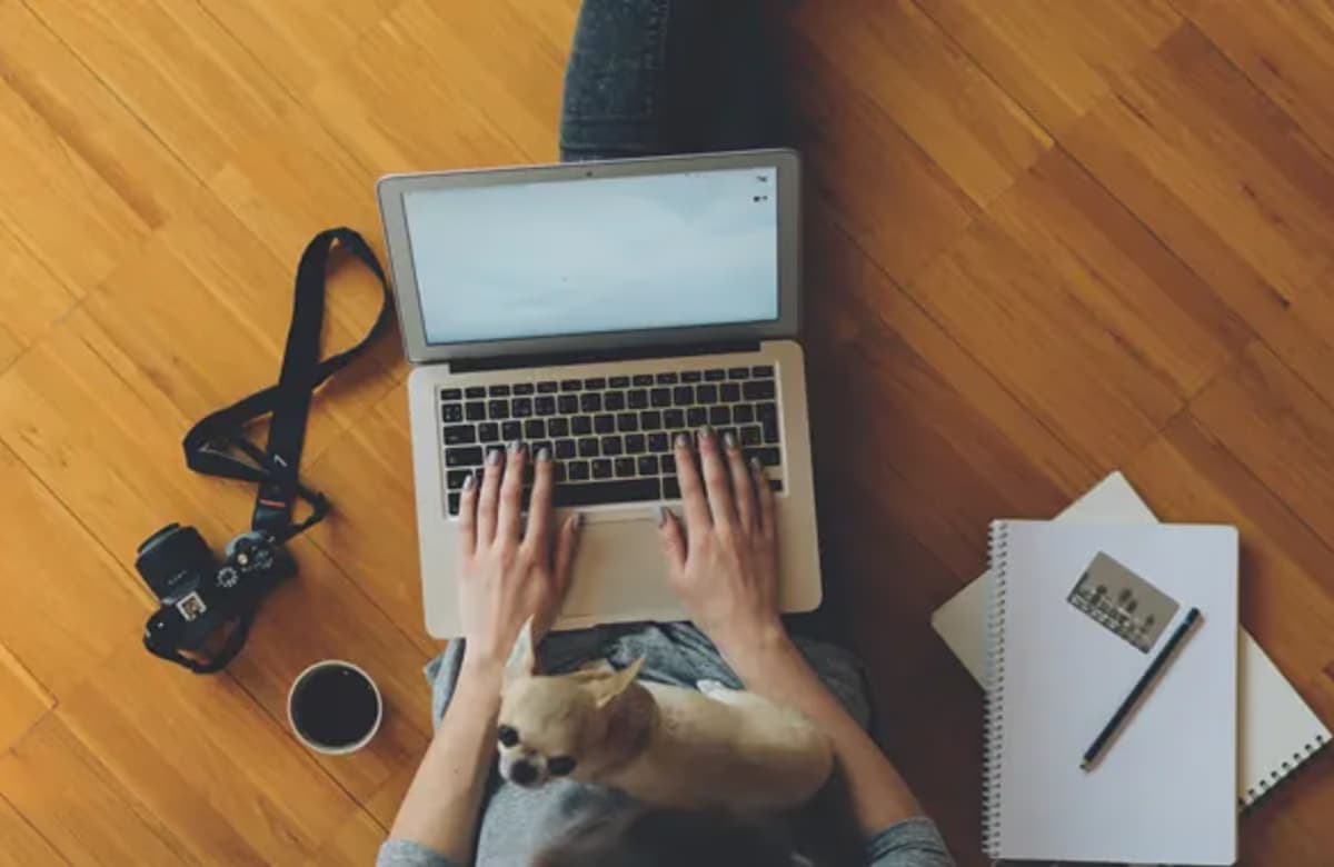 Dünyanın en prestijli üniversitelerinden alabileceğiniz online dersler