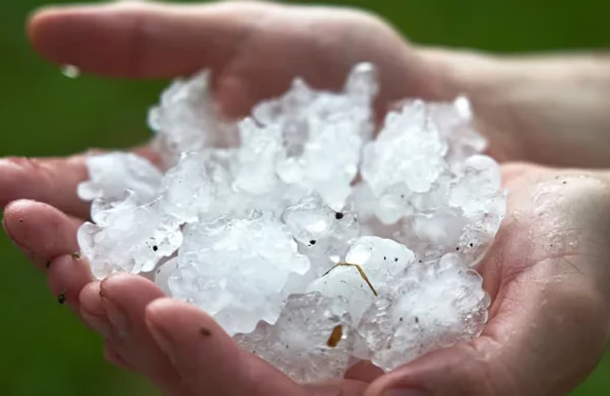 TARSİM: Dolu paket riskleri muafiyet oranı %8’e düşürüldü