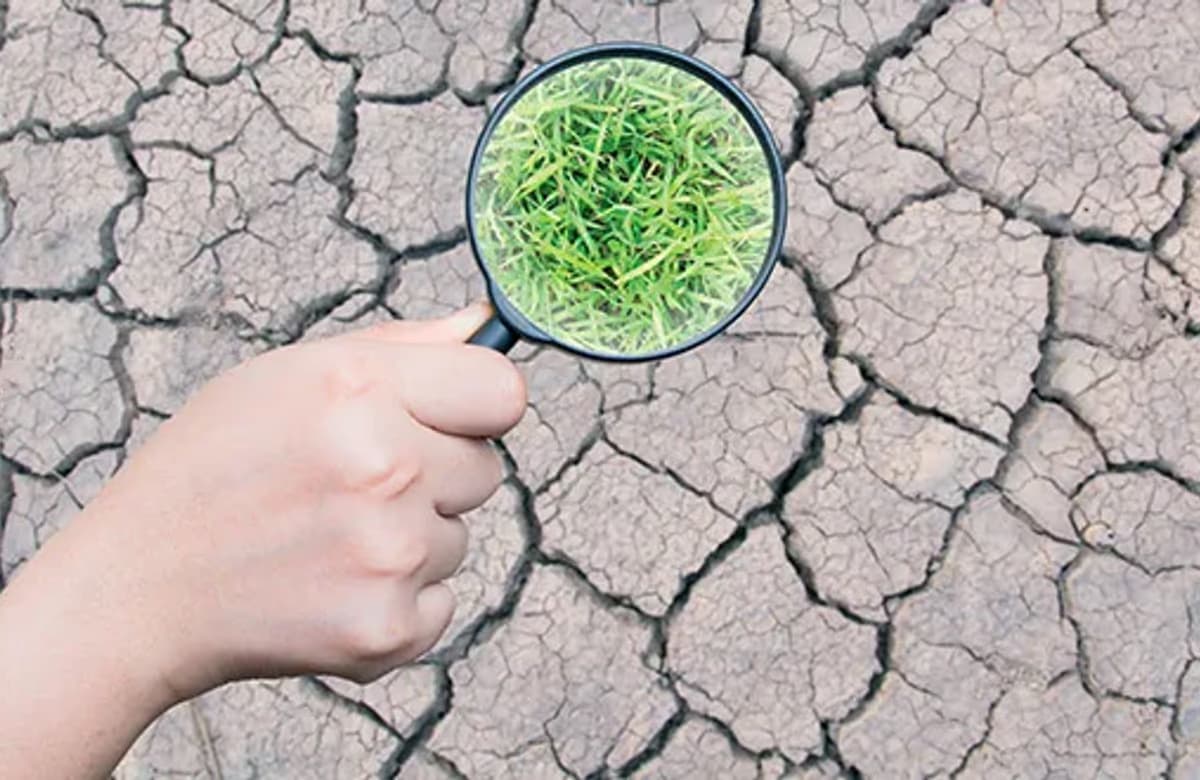2019 yılında sektöre 3 düzenleme damga vuracak