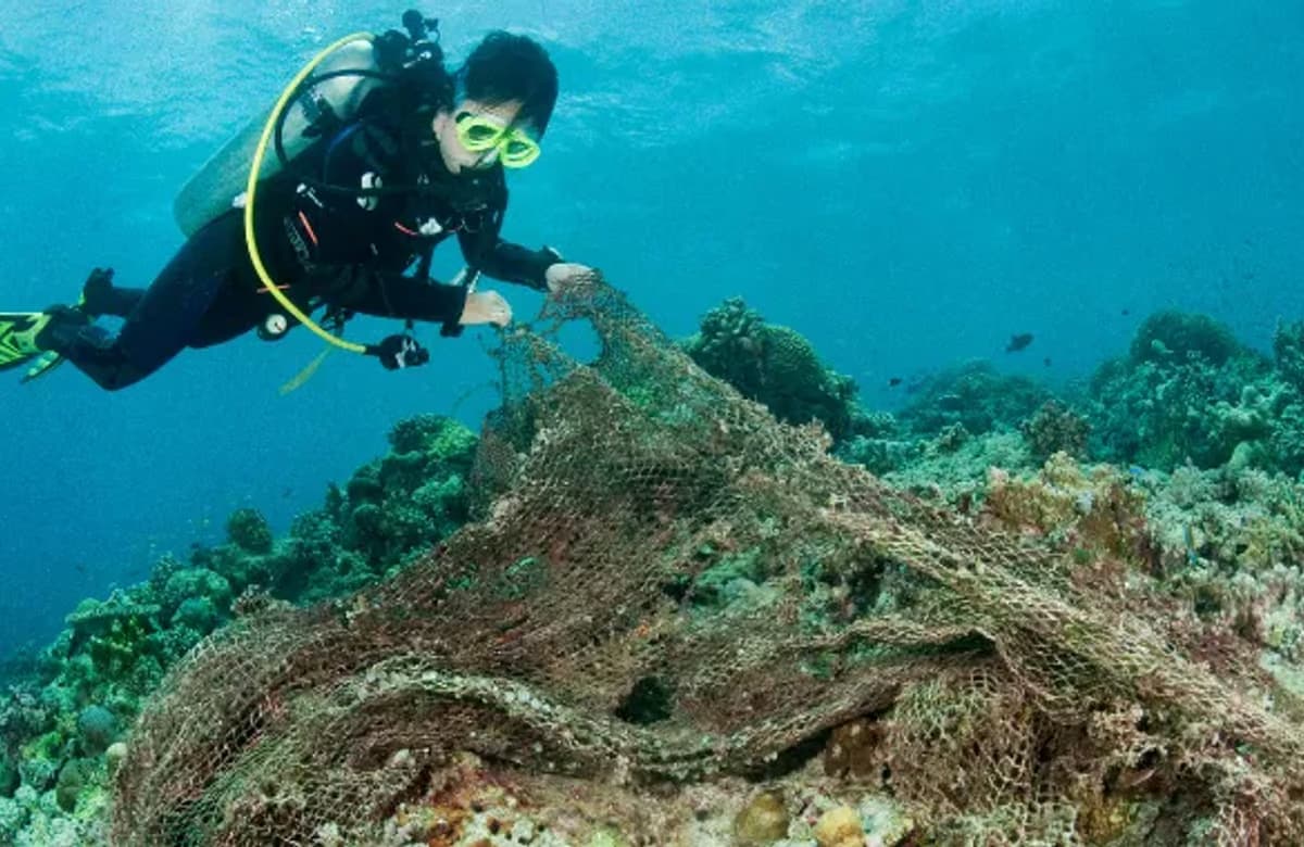 Deniz plastik çöpünün en ölümcül haline son