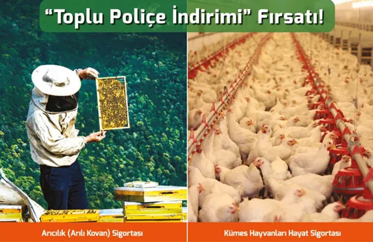 TARSİM’den arı yetiştiricileri ve kanatlı hayvan üreticilerine ‘Toplu poliçe indirimi’ fırsatı