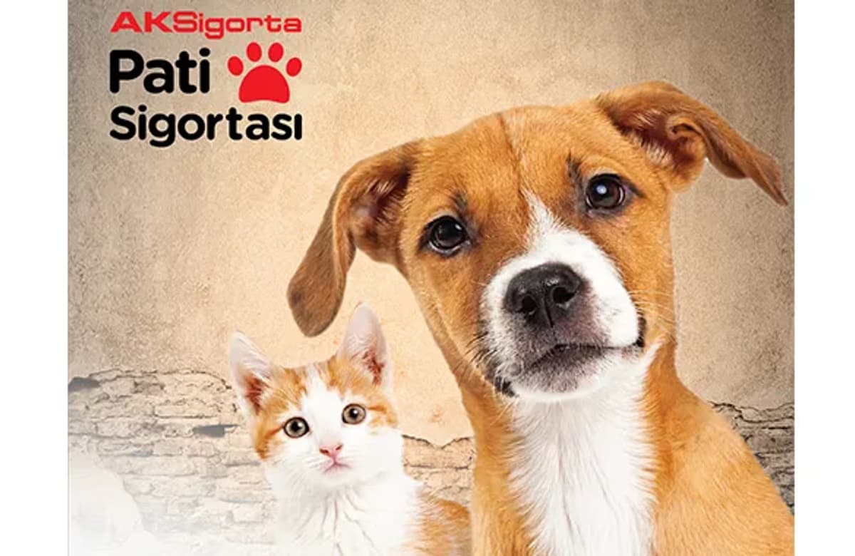 Aksigorta’dan, patili dostlar için Haytap ile iş birliği