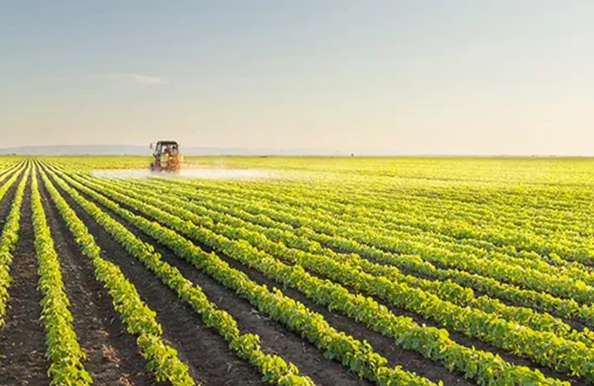 Tarımda sigortalı varlık değeri yüzde 31 arttı