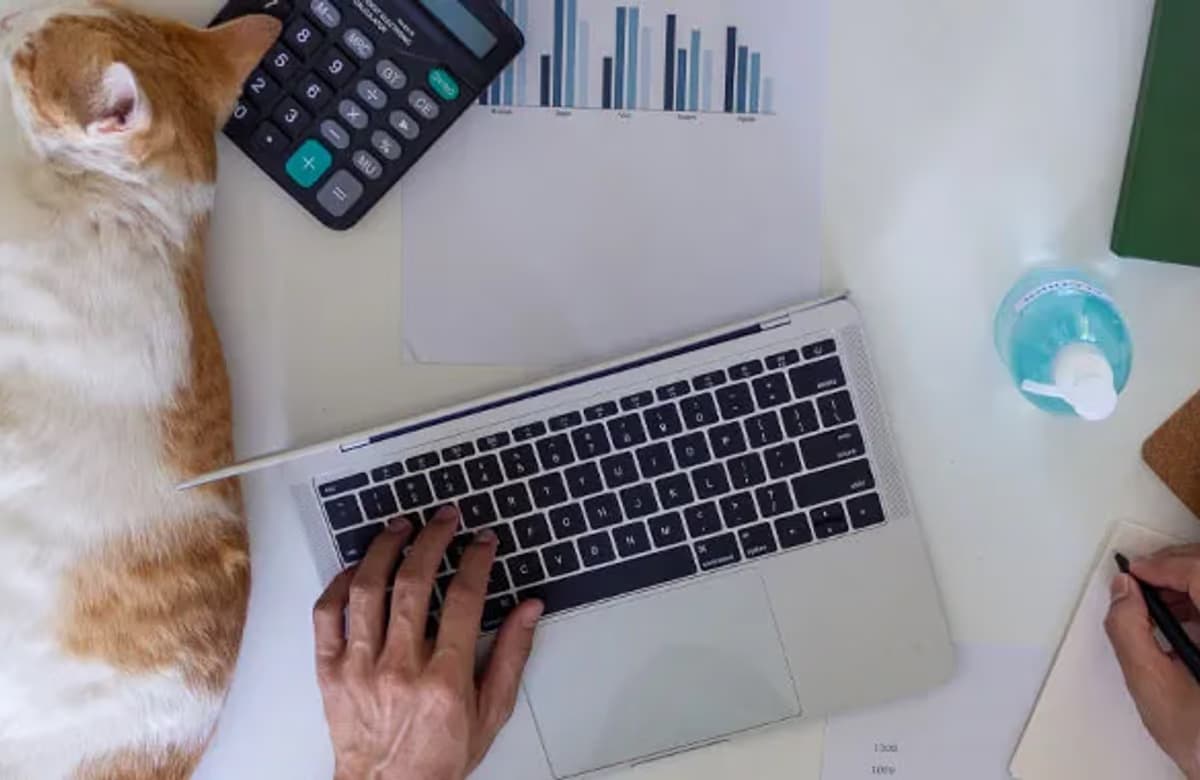 Evden çalışmanın en büyük dezavantajı belli oldu: Sosyalleşememek