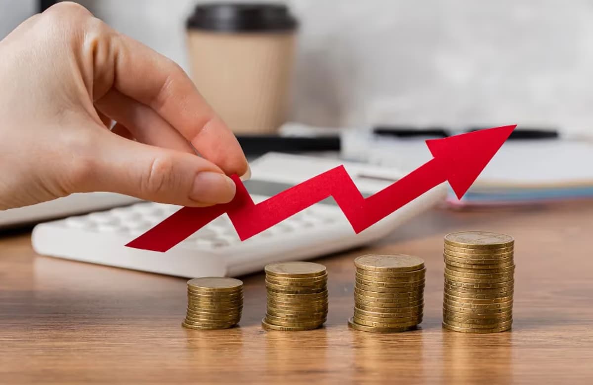 BES 2024 yılını büyümeyle tamamladı