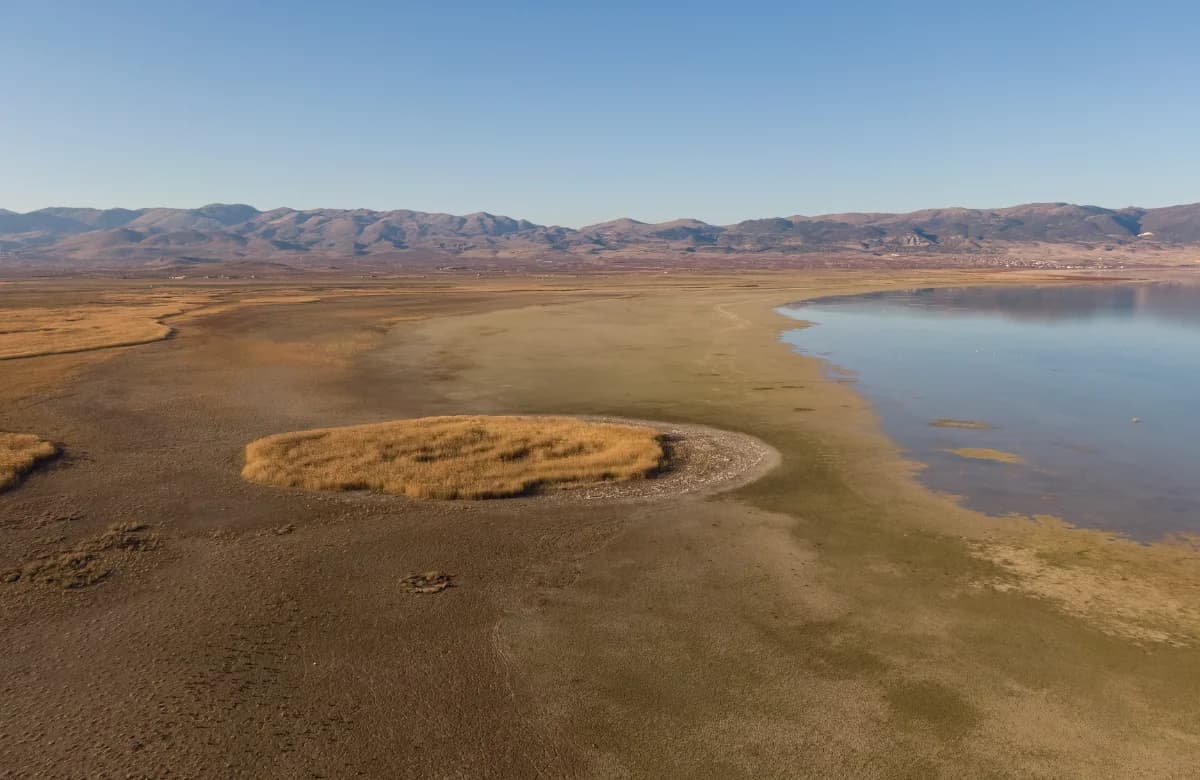 Acqua e foreste: pilastri della natura, della prosperità e dell'uguaglianza