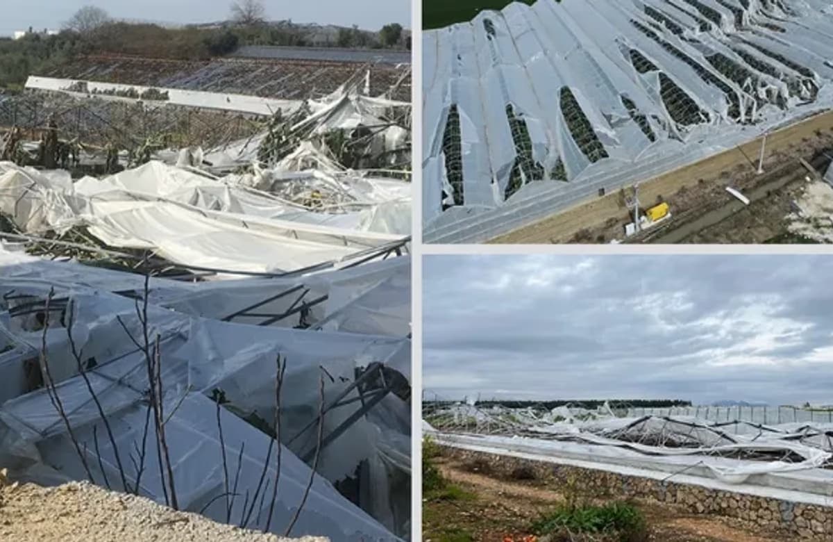 TARSİM Antalyalı üreticilere 61,5 milyon lira civarında hasar ödemesi öngörüyor