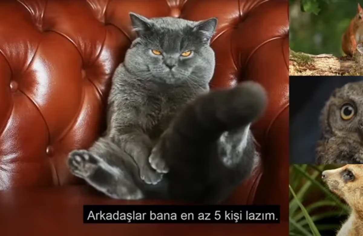 Axa’dan 5 kişilik grubunu oluşturan herkese “Sülale İndirimi”
