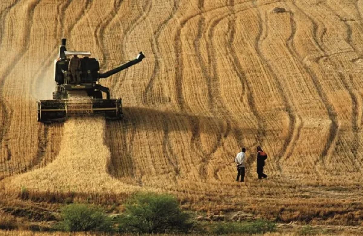 Tarım Sigortaları Havuzu işletme bedellerinde yeni oranlar belirlendi