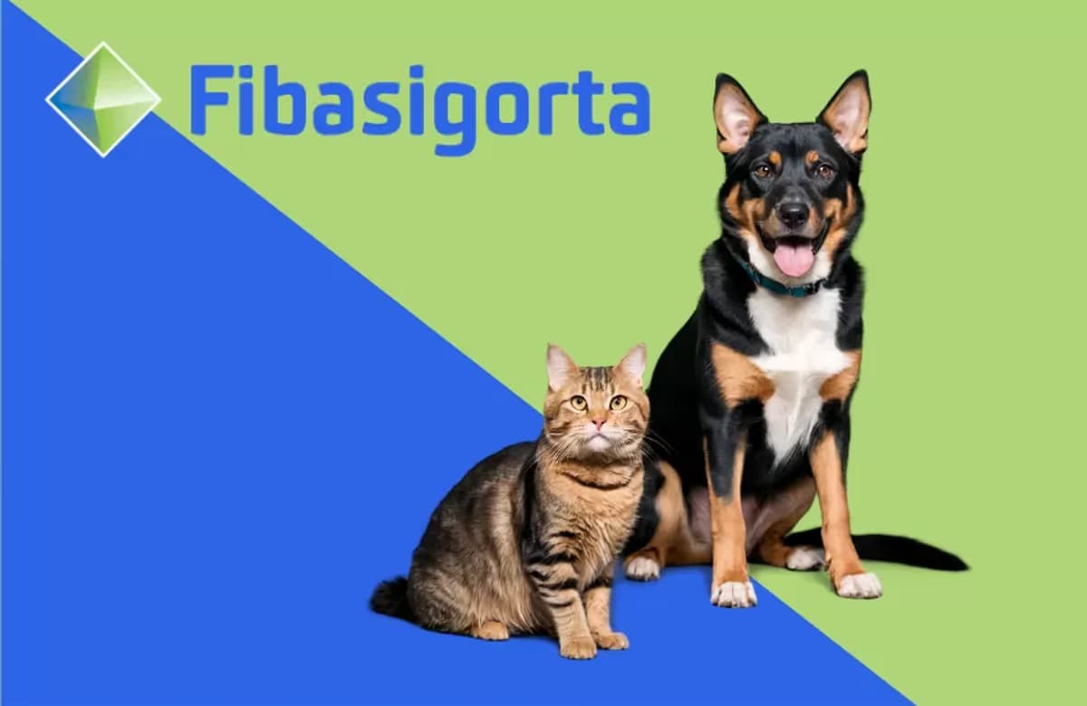 Fibasigorta Fi-Pati ile evcil hayvan sigortacılığında yeni bir dönem başlatıyor
