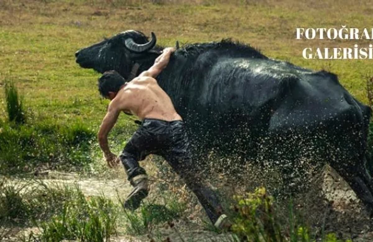 TARSİM “Tarım ve Tarımda Risk” fotoğraf yarışmasında kazananlar açıklandı