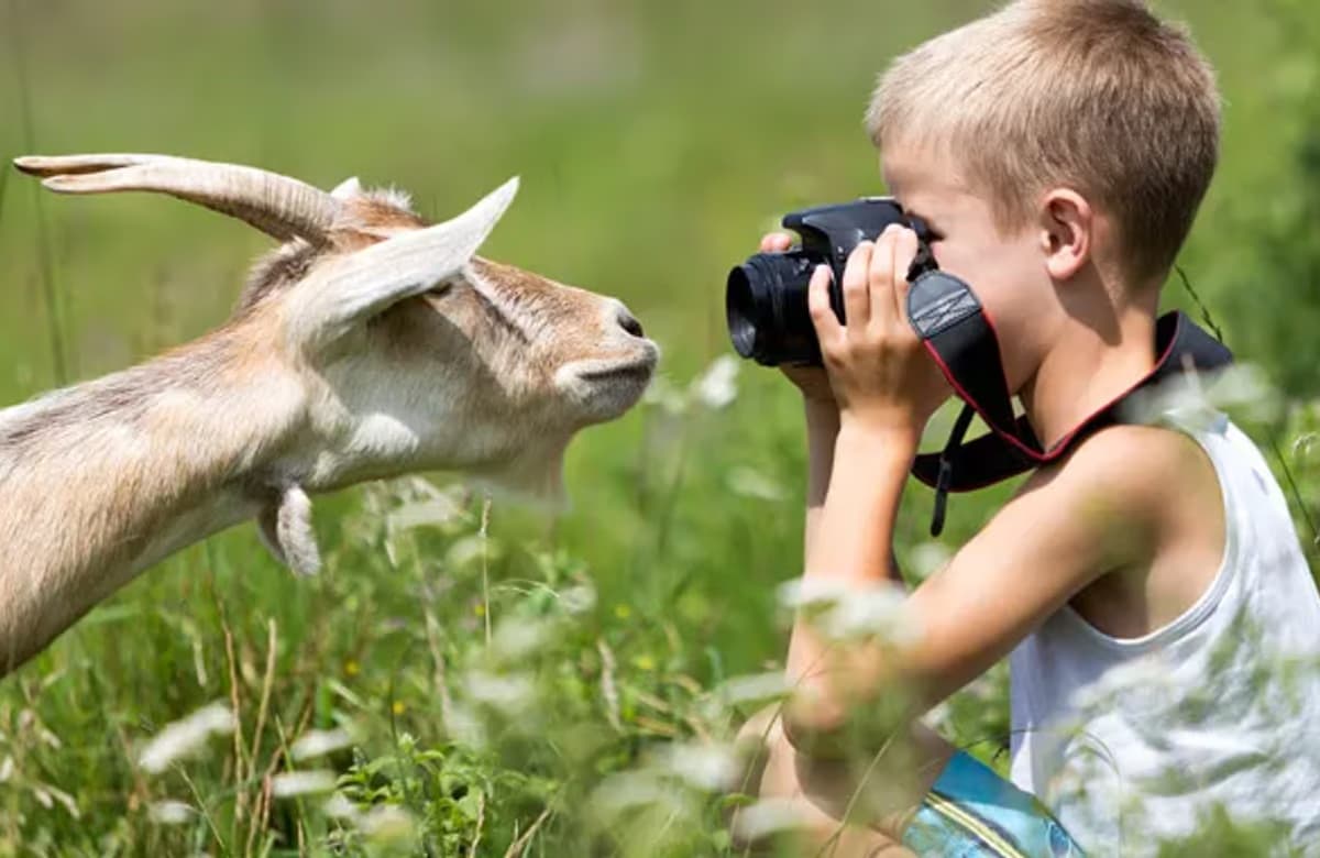 TARSİM Fotoğraf Yarışması’na başvurular başladı