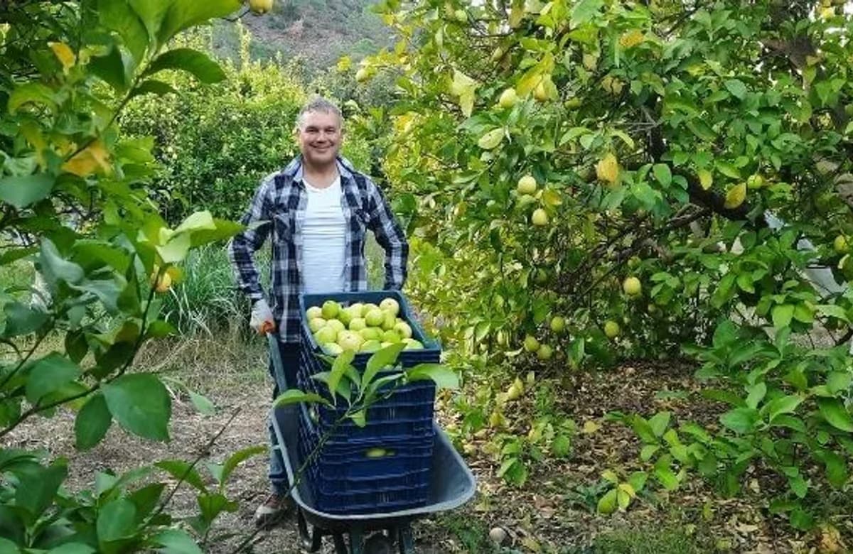 Hekimlikten limon üreticiliğine uzanan bir serüven: Mutlu Limon’un hikayesi