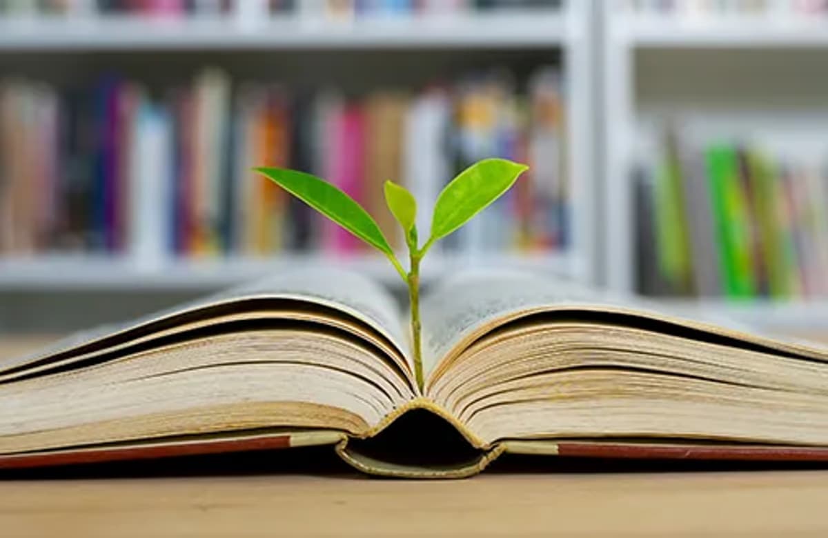 SEGEM “Katılım Sigortacılığı” eğitimi düzenliyor
