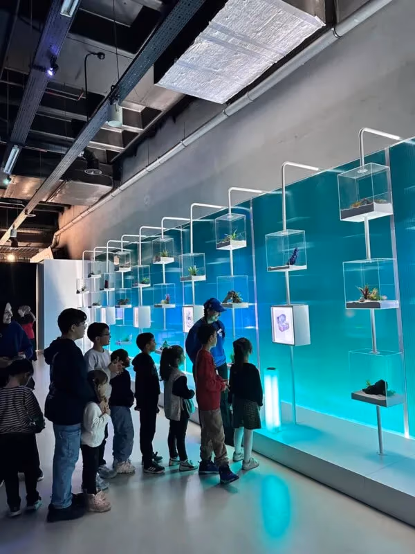 Katılım Emeklilik DigiZoo şehit ve gazi çocuklarını ağırladı