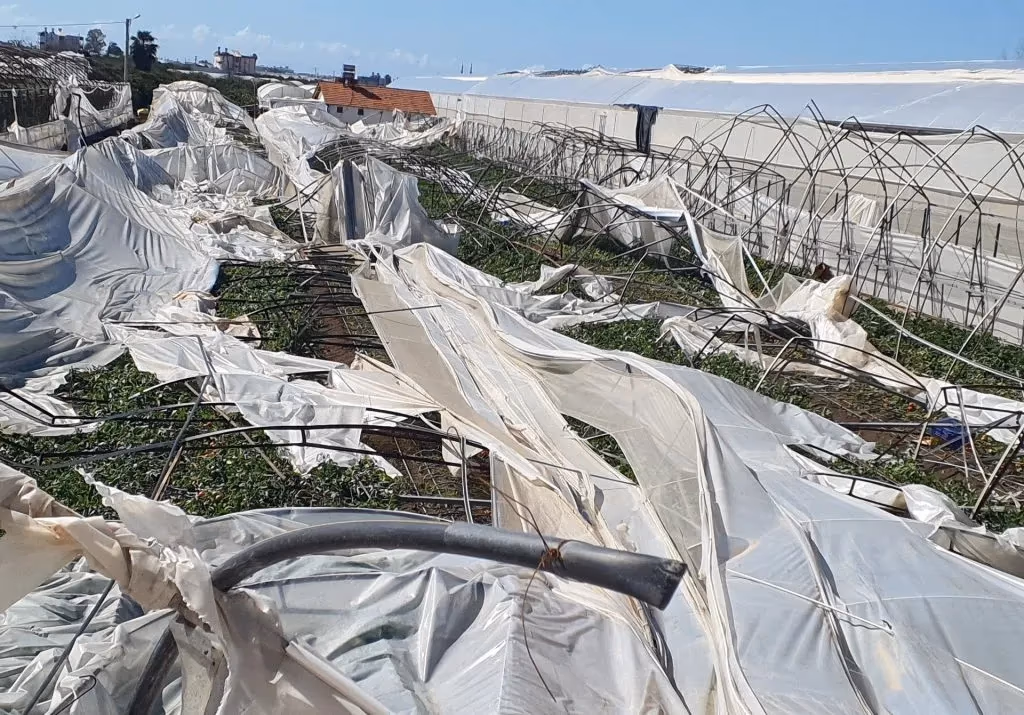 TARSİM hortumdan zarar gören Antalyalı sera üreticilerine 39 milyon lira ödedi