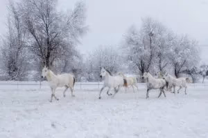 Kadın Gözüyle Hayattan Kareler fotoğraf yarışması sonuçları açıklandı