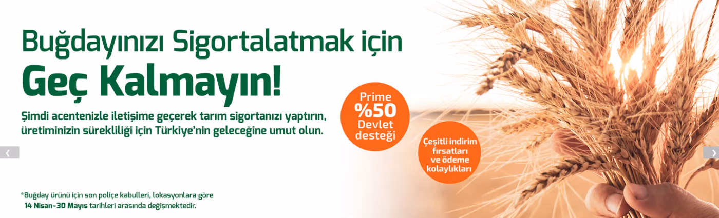 TARSİM buğday ürünü için son sigorta tarihini hatırlattı