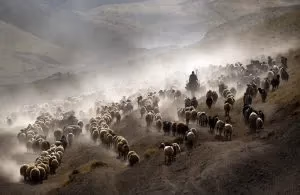 Kadın Gözüyle Hayattan Kareler fotoğraf yarışması sonuçları açıklandı