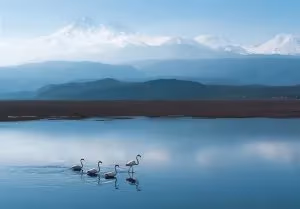 “Kadın Gözüyle Hayattan Kareler” fotoğraf yarışmasının sonuçları açıklandı