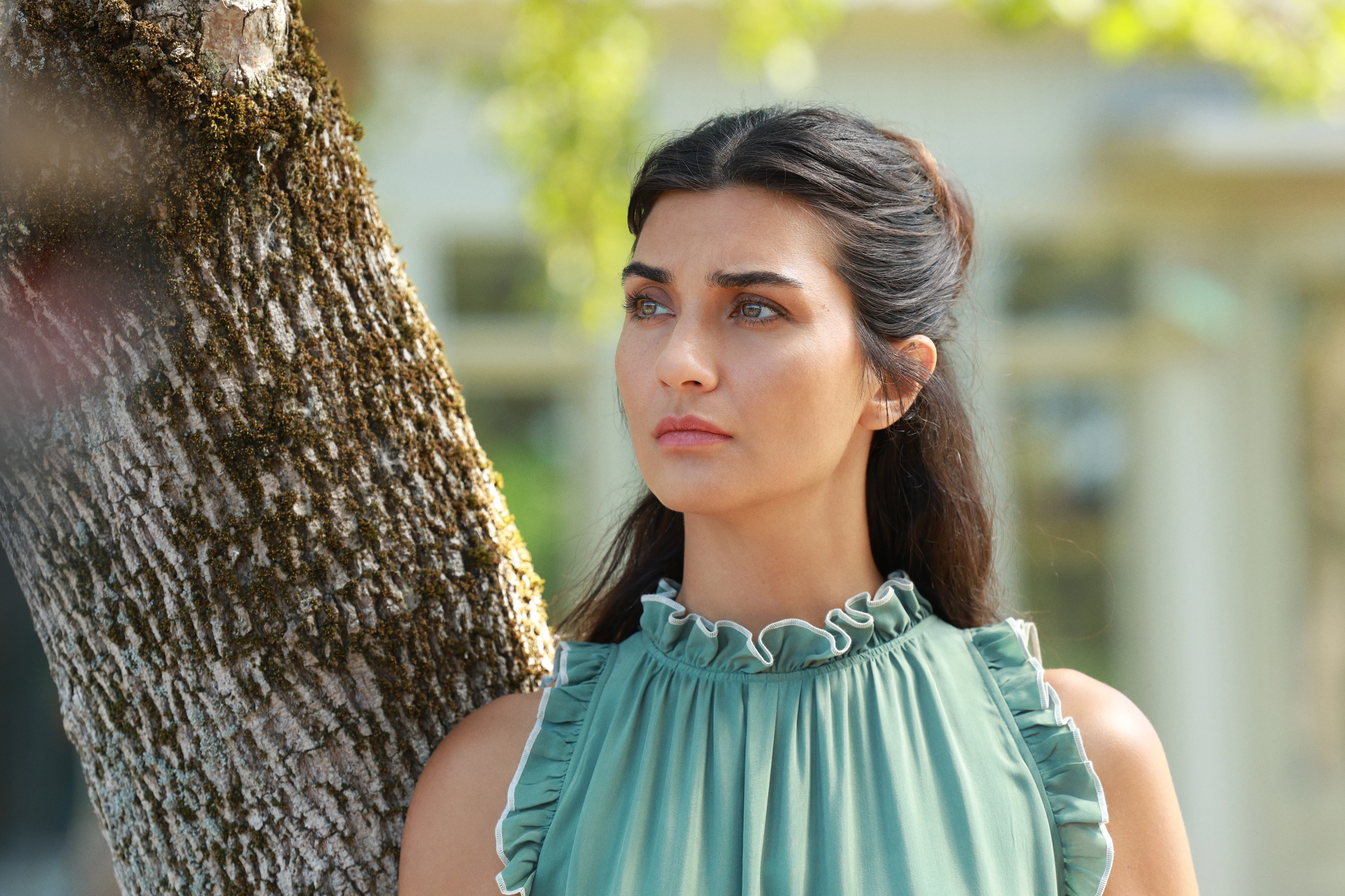 Zeytin Ağacı 3. Sezon 