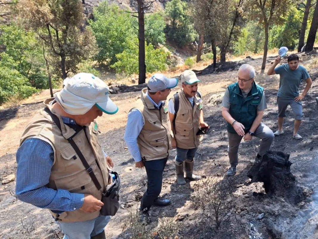 TARSİM’den yangın sebebiyle Aydın ve Muğla’ya geçmiş olsun ziyareti