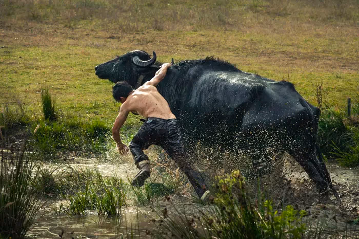 TARSİM “Tarım ve Tarımda Risk” fotoğraf yarışmasında kazananlar açıklandı