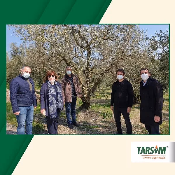 TARSİM heyeti Bursa ve Manisa’da incelemelerde bulundu