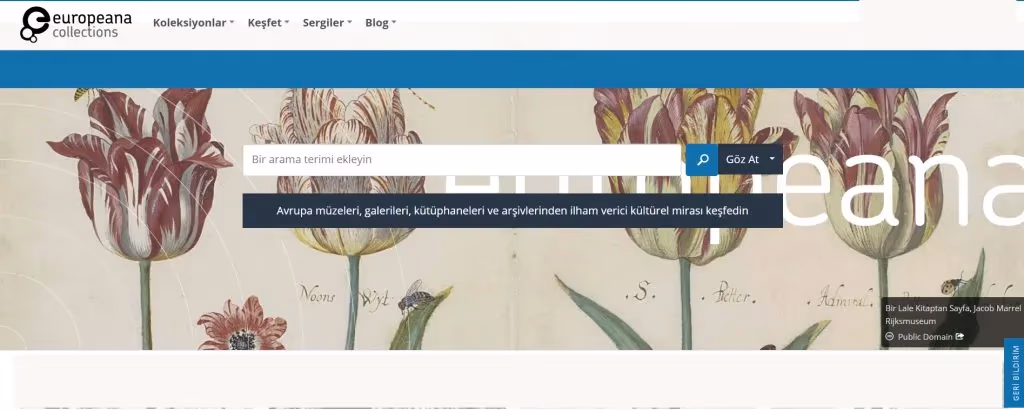 En iyi 5 dijital kütüphane