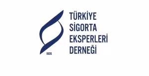 Türkiye Sigorta Eksperleri Derneği fırtına kaynaklı hasarlarla ilgili açıklamalarda bulundu